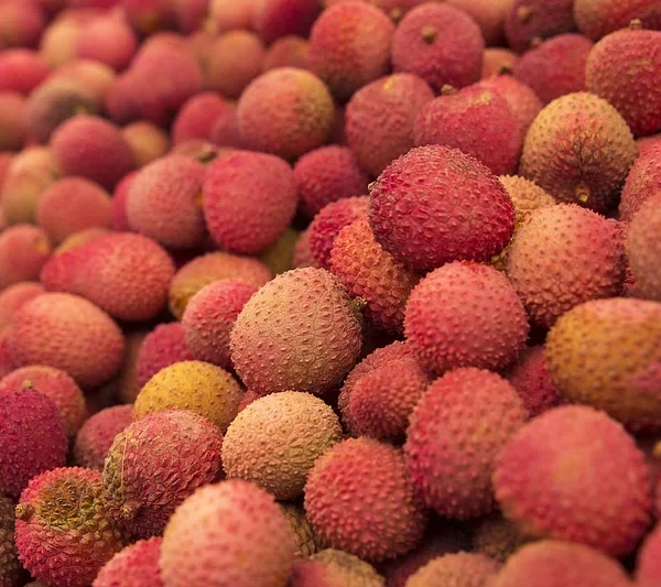 বম্বে লিচু